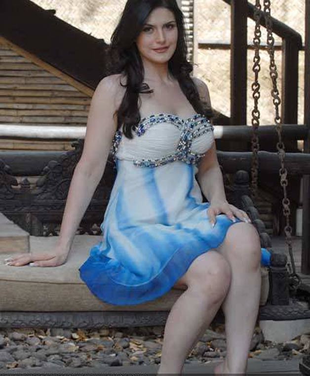 Zarine Khan Wallpapers, Latest Photos, Hot HD Bikini Pics photo Zarine Khan Wallpapers, Latest Photos, Hot HD Bikini Pics pic