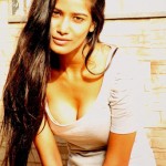 poonam pandey hot, bikini hot photos, bra size, sexy boobs hot images, wallpaper pics, poonam pandey saree & bikini photoshoot