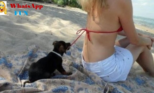 27 Mind Blowing Whats App Images That Will Makes You Laugh! img