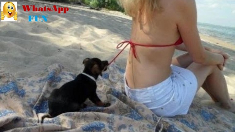 Whats App Funny Images